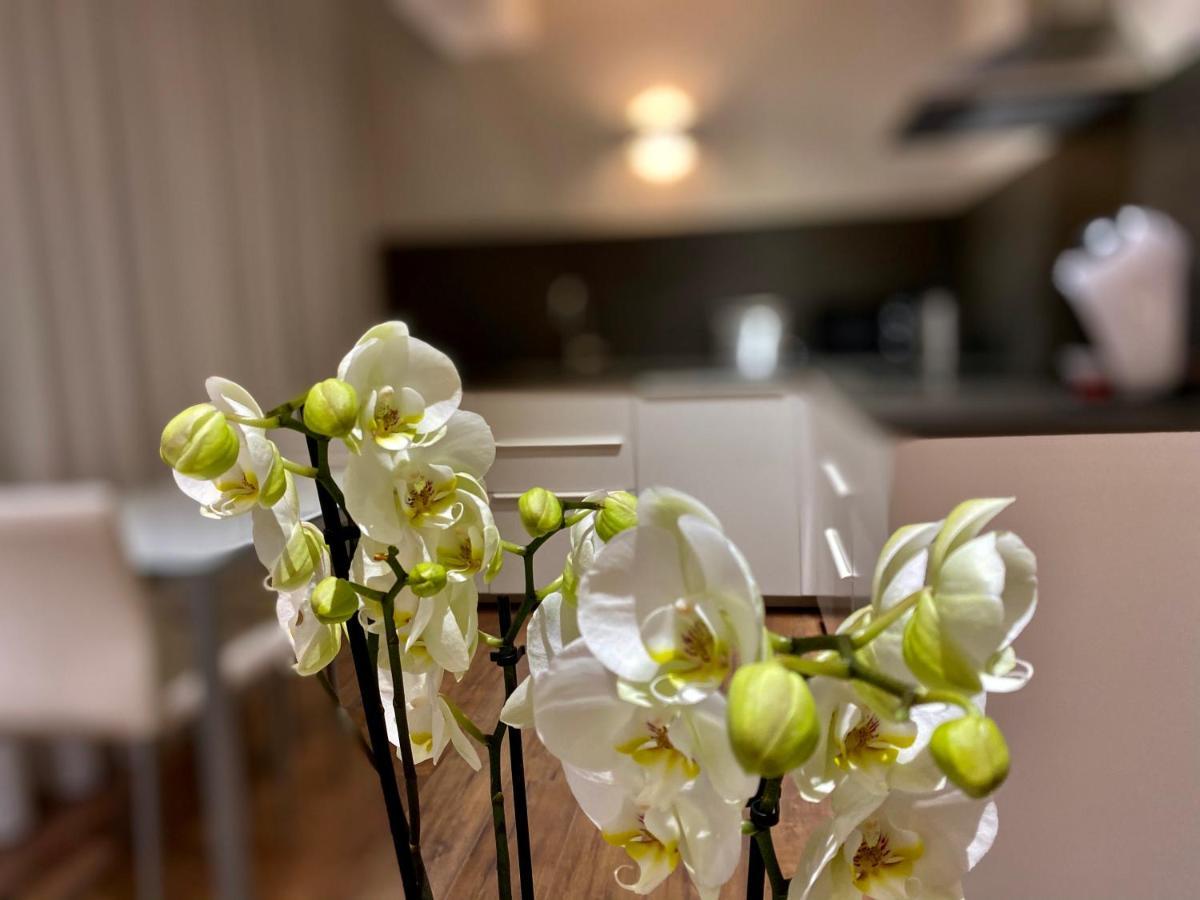 Harpazul Aparthotel Catoira Екстериор снимка